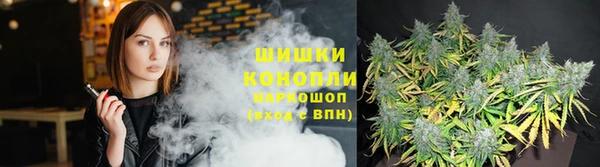 дмт Горняк