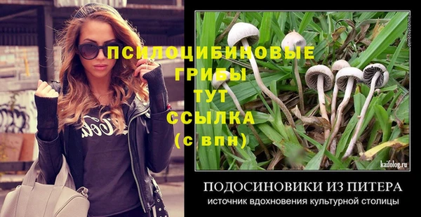 амф Горно-Алтайск