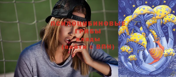 дмт Горняк