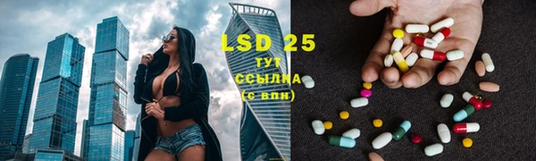 гидра Апатиты