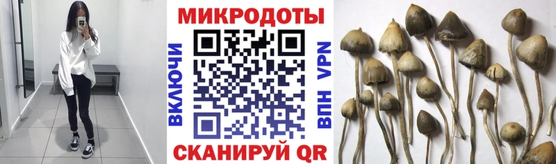 Галлюциногенные грибы прущие грибы Дивногорск